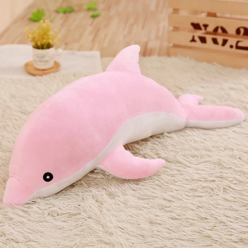 Splashie The Dolphin
